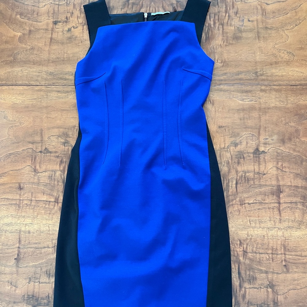 Sophisticated Flattering Sleeveless Exposed Back Zipper Sheath Dress Tahari EUC!